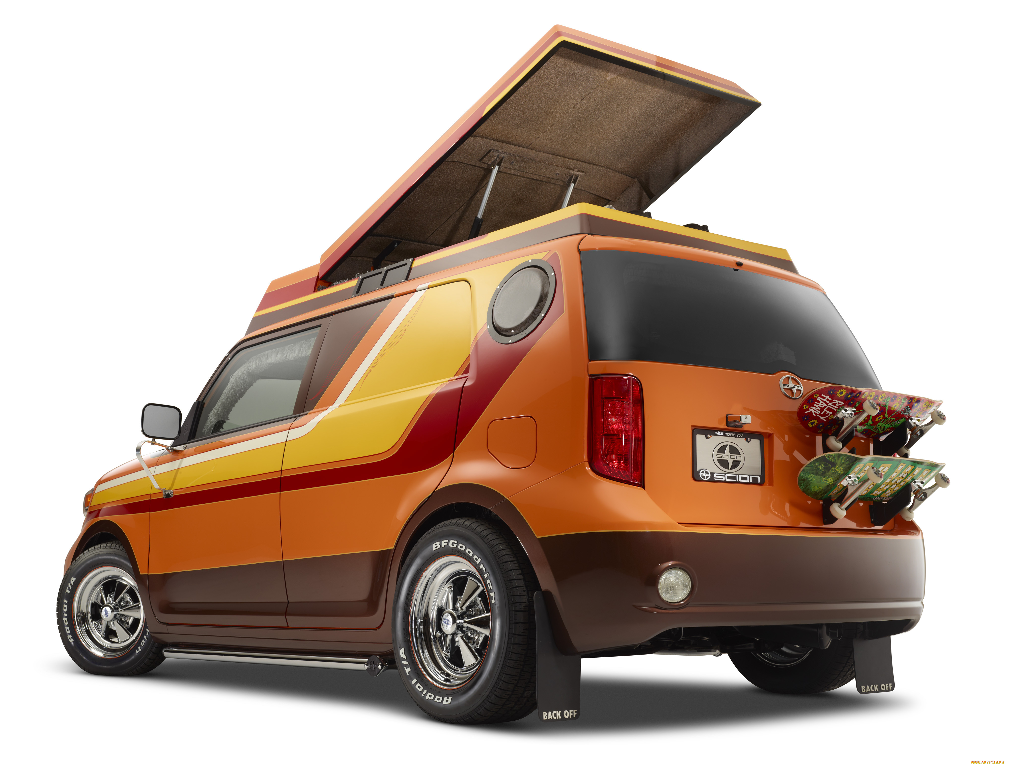 , scion